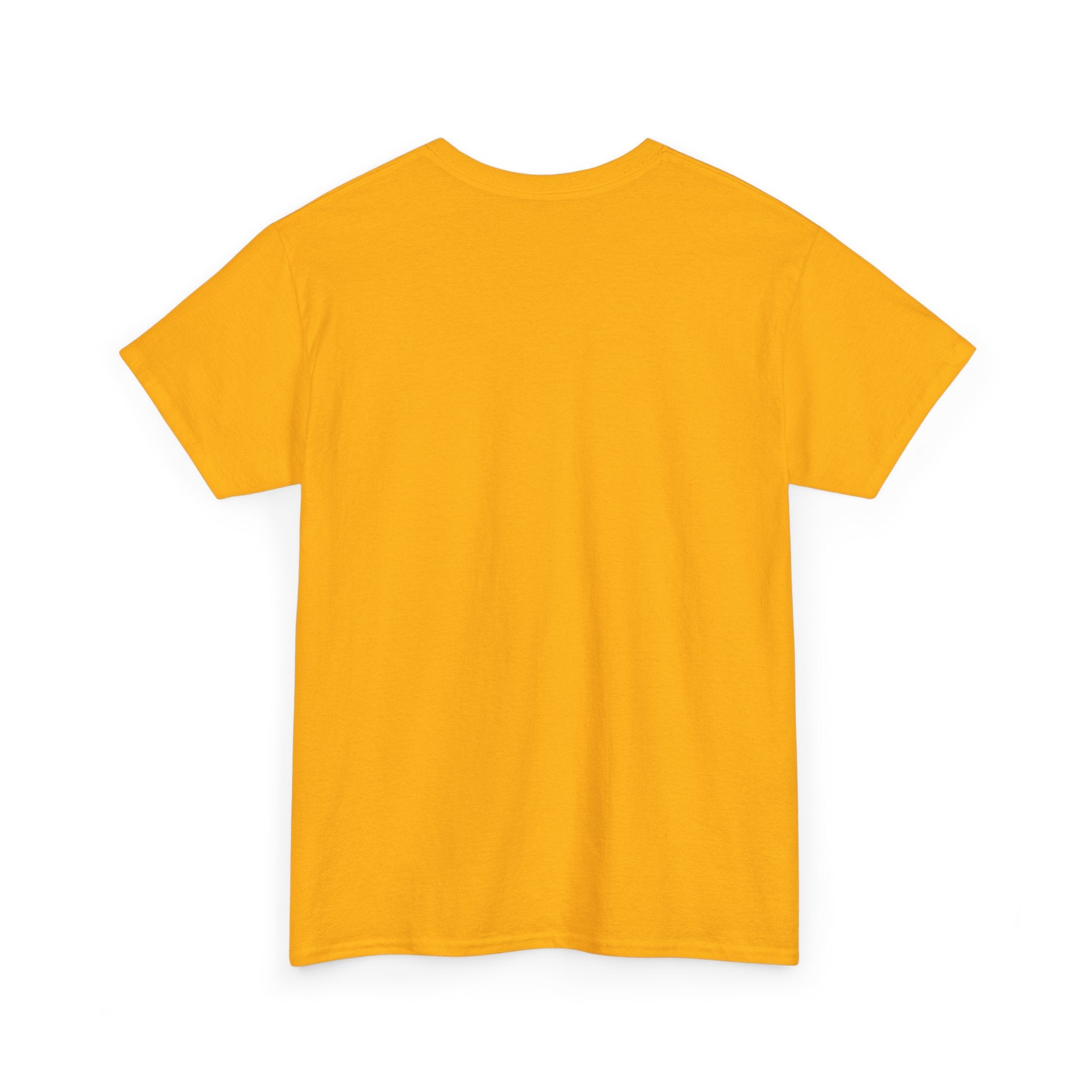 More Than My Diagnosis T-Shirt — Chronic Illness Awareness Tee